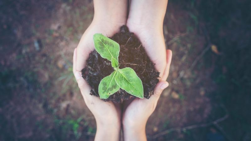 Becoming a Trauma-Informed Agency