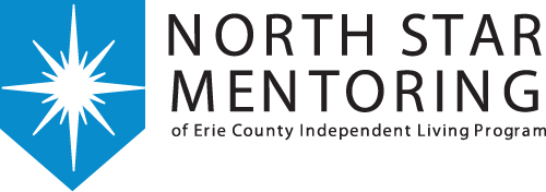 north star mentoring logo