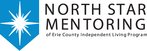 north star mentoring logo