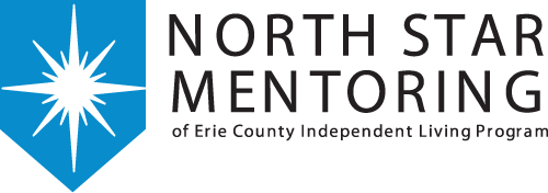 north-star-mentoring-logo