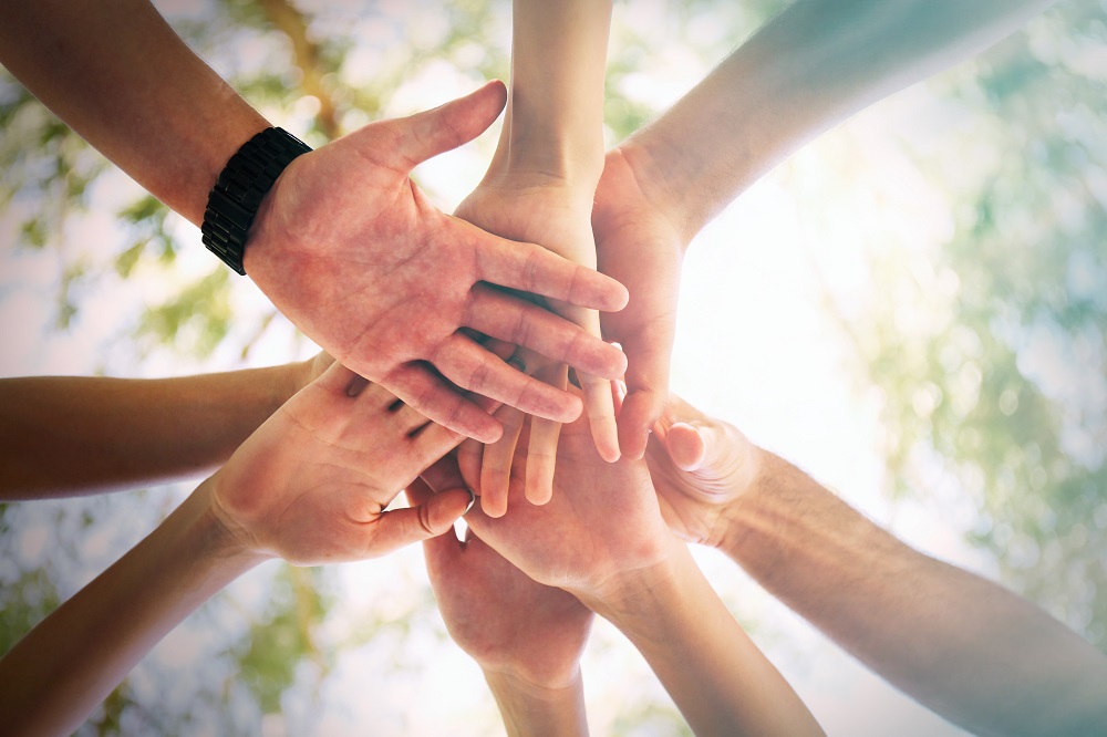 family-group-decision-making